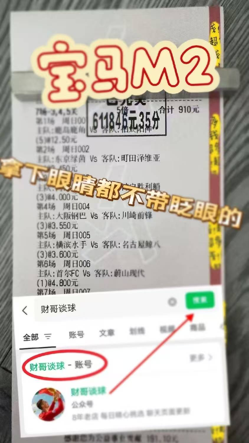 德甲：霍芬海姆VS柏林联合,专家推荐比分预测